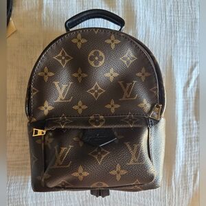 LOUIS VUITTON PALM SPRINGS MINI